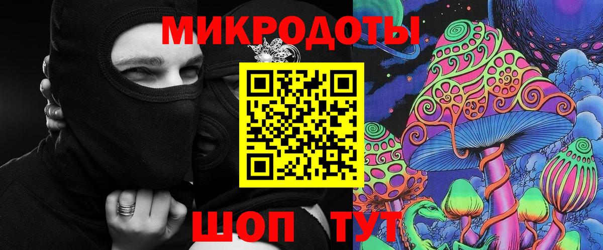 Псилоцибиновые грибы Psilocybe Ишим