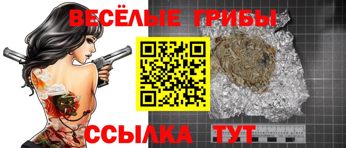 Ишим  Галлюциногенные грибы ЛСД  купить закладку  Вход с VPN 
